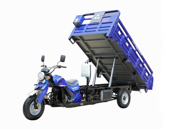 3 Wheeler Gas Motor Tricycle