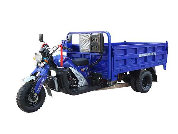 5 Wheel Gasoline Powered Heavy Duty Tricycles