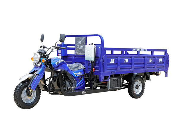 Agricultural Gasoline Tricycle