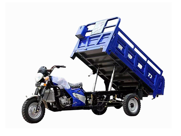 Cargo Gasoline Motorized Tricycle