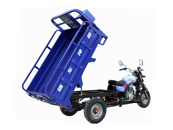 Cargo Gasoline Tricycle