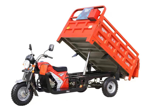 Dual Hydraulic Fuel-Powered Tricycle