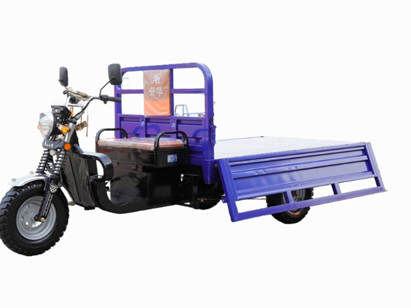 Electric Cargo Tricycle