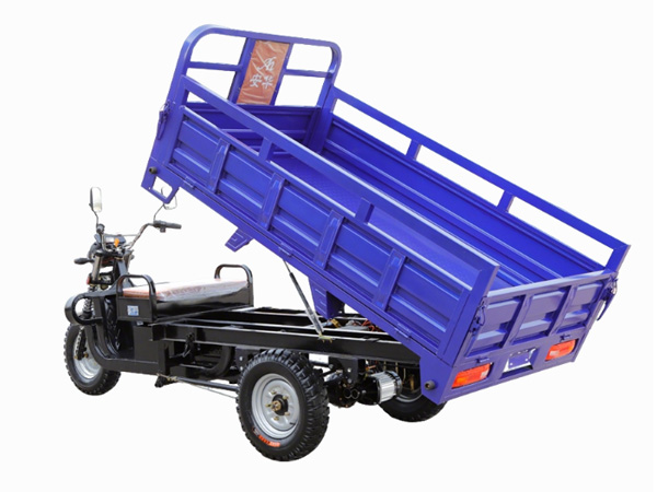 Electric Cargo Trike