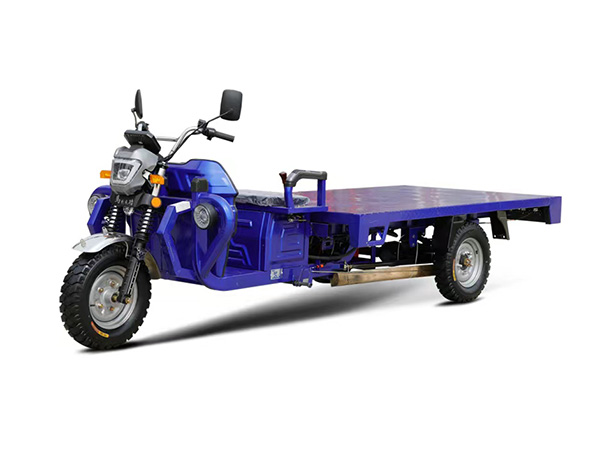 Electric Flatbed Cargo Trike Tricycle