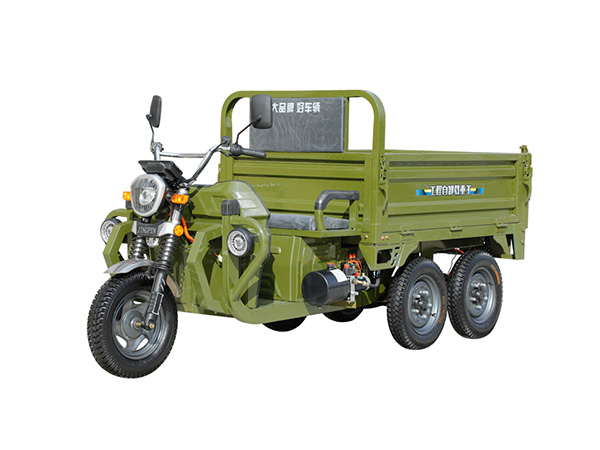 Five-Wheel Electric Cargo Tricycle