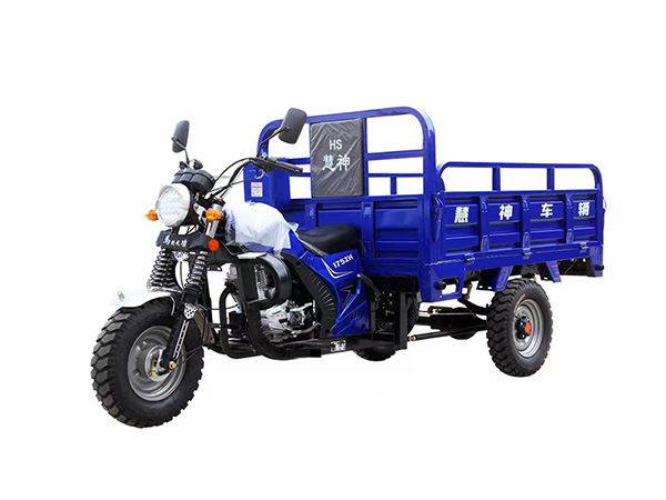 Gasoline Cargo Tricycle: Key Features and Applications