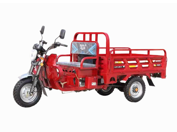 Fuel Powered Three Wheeler