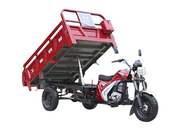 Gas Three-Wheeler