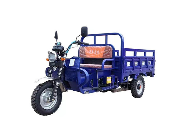 Gasoline Cargo Tricycle