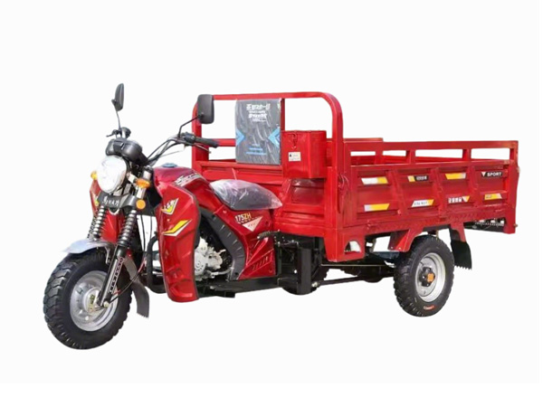 Gasoline Three-Wheeler
