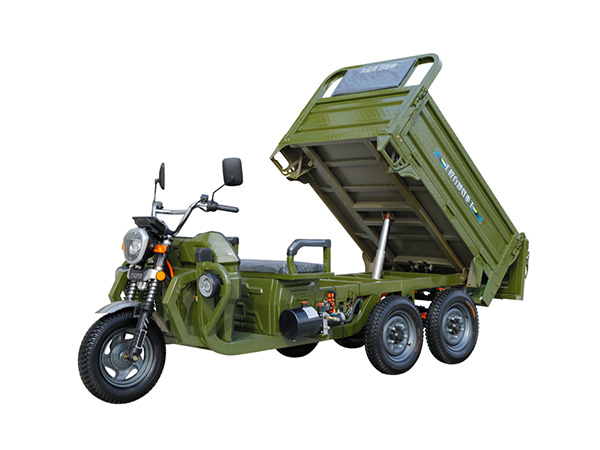 Heavy Load 5-Wheel Electric Cargo Tricycle