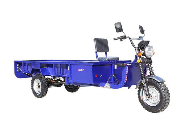Long Flatbed Electric Tricycle