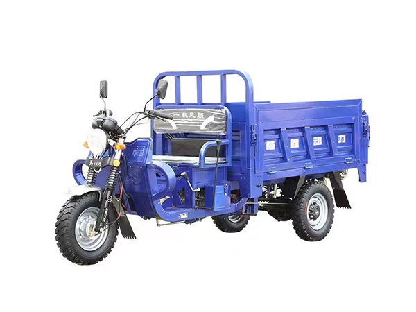 Petrol 3 Wheel Motorcycle