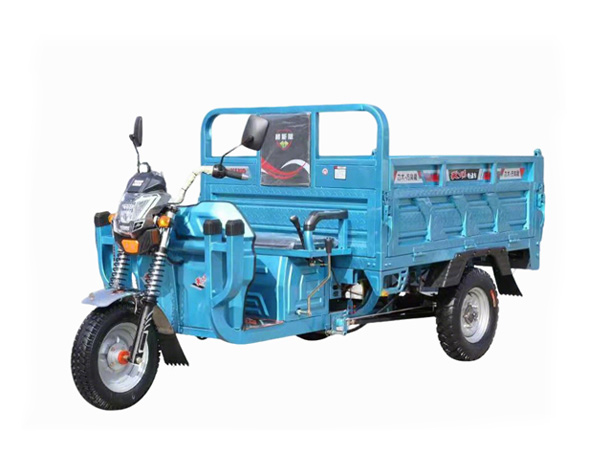 Trike Cargo Vehicle
